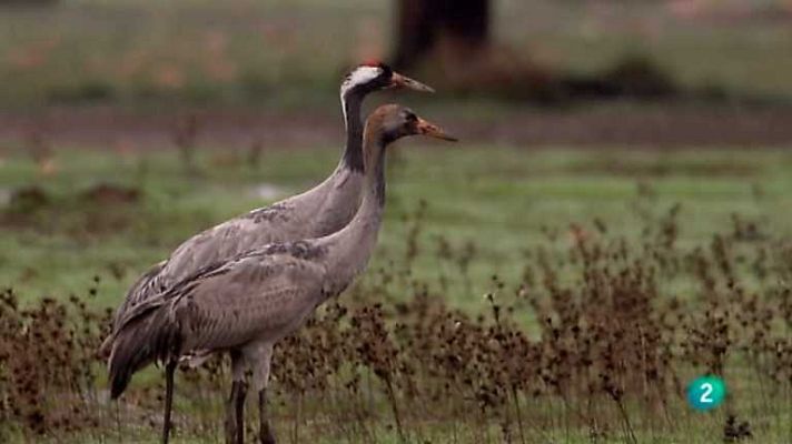 Biodiario - Biodiario - 16/10/12