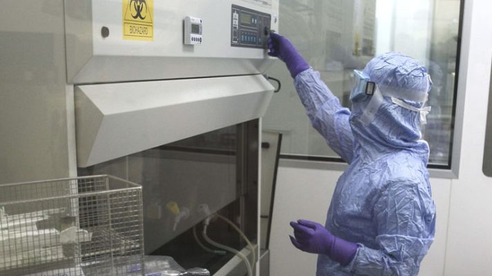 Telediario 1 - Células madre como solución