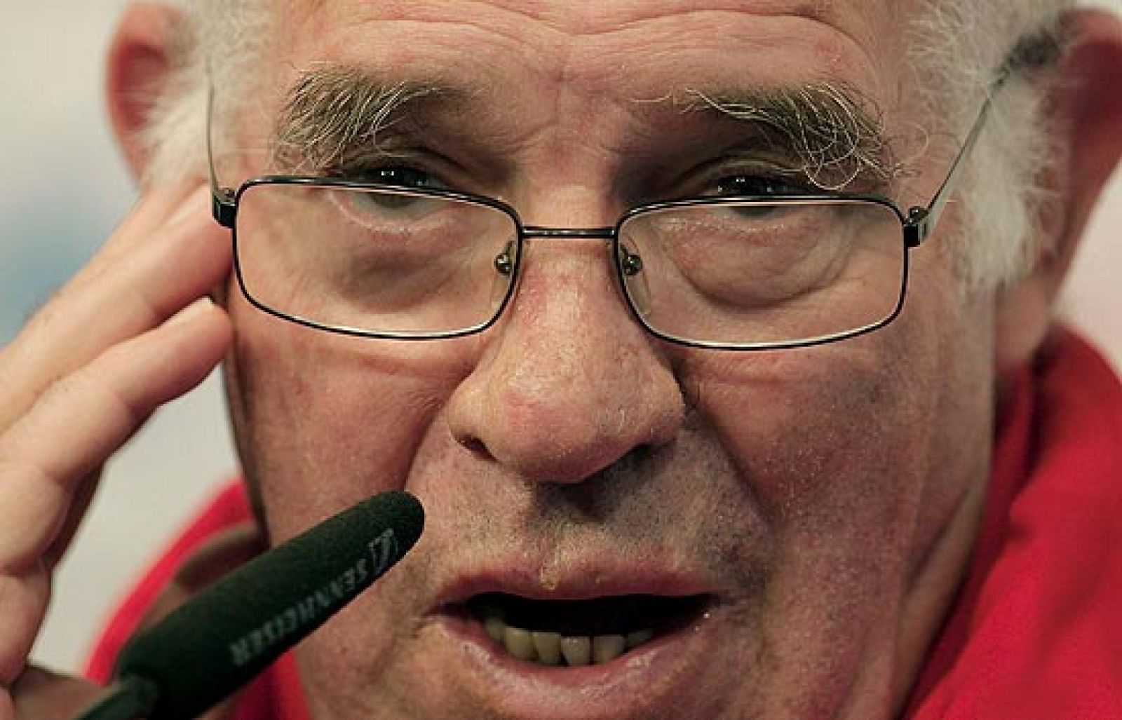 Luis Aragonés y Fernando Torres opinan sobre David Villa.