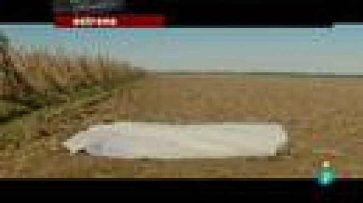 Días de cine - Días de cine: 'Looper'