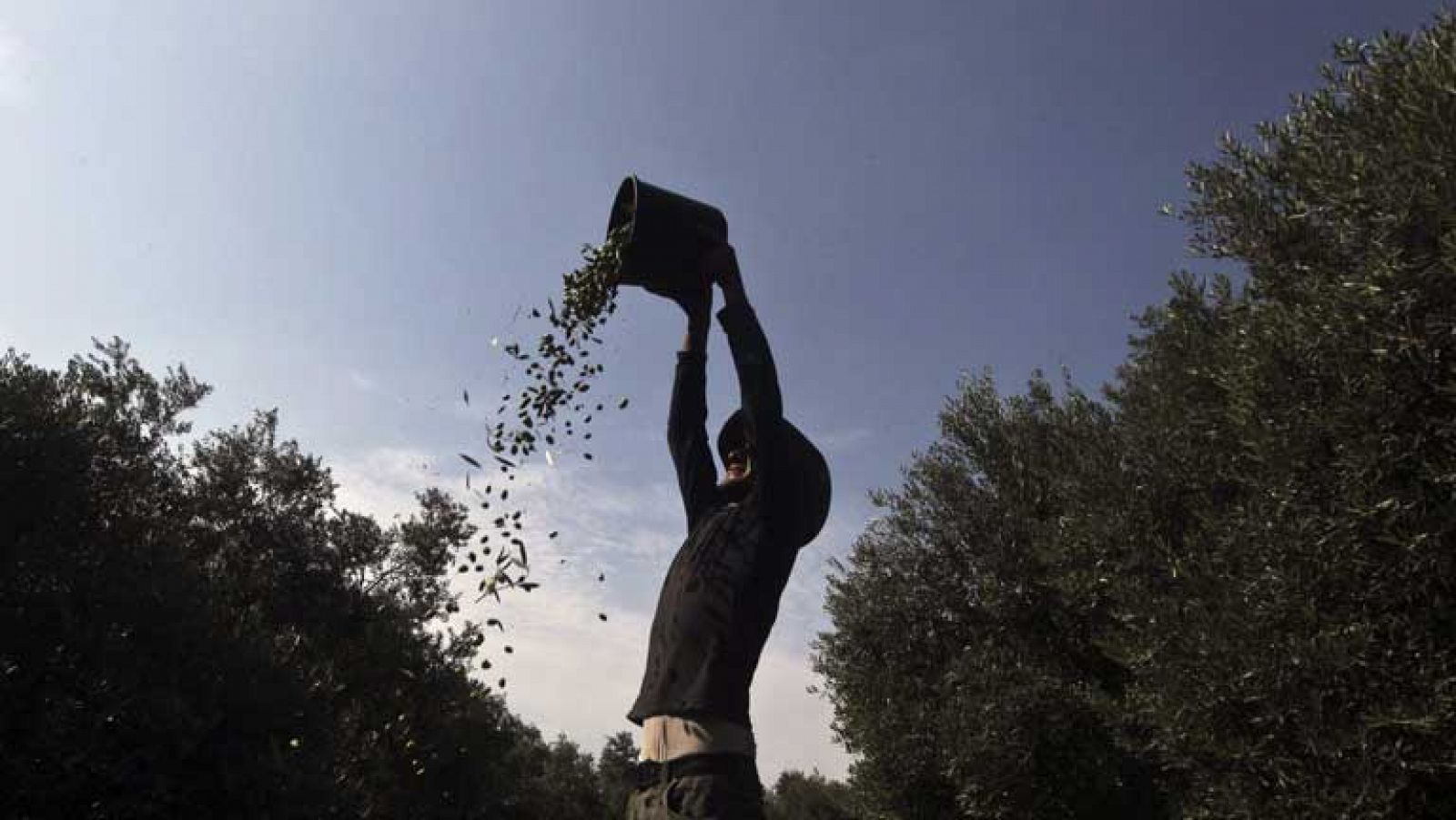 Telediario 1: Sector agroalimentario | RTVE Play