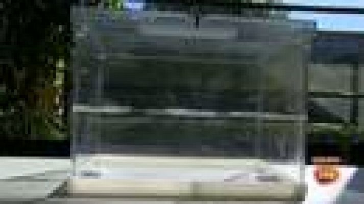 Informativo 24h - Un total de 55 millones de papeletas y 4.028 mesas en los comicios gallegos