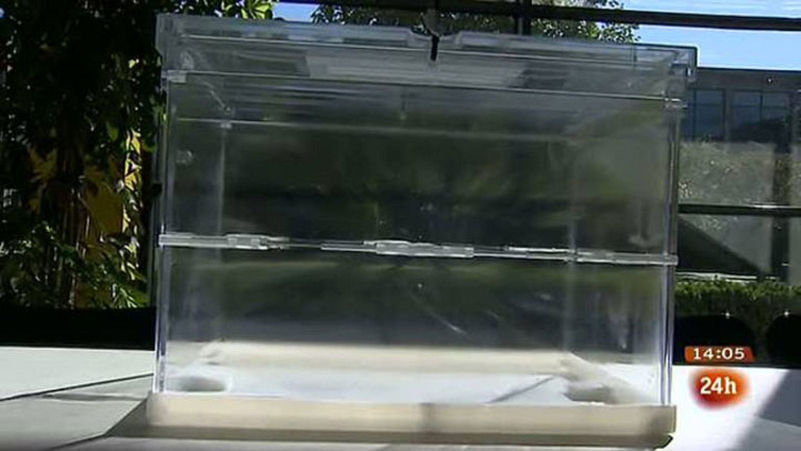 Un total de 2,69 millones de ciudadanos tendrán derecho a ejercer el domingo su derecho a voto en las 4.028 mesas de votación dispuestas en los 2.528 colegios habilitados para las elecciones autonómicas en Galicia, entre los que se distribuirán 55 millones de papeletas y 3,8 millones de sobres.