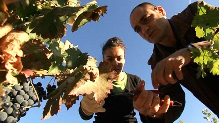 Comando Actualidad - El pueblo me da de comer - Avance