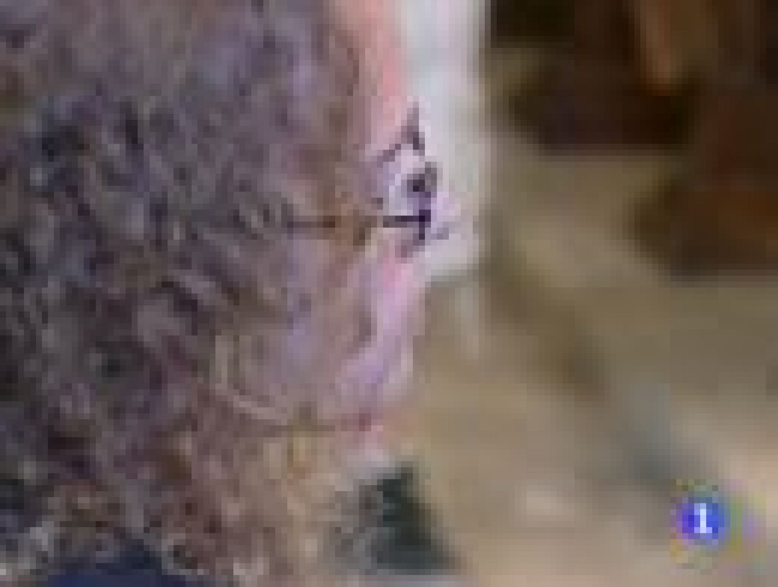 Informatiu Balear - 22/10/12 | Ver