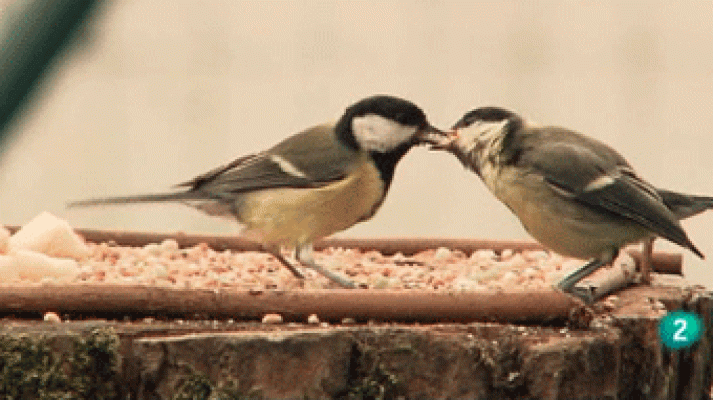 La aventura del Saber - Jardines para la biodiversidad