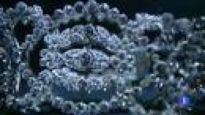 Telediario 1 - Exposición inédita en el Thyssen