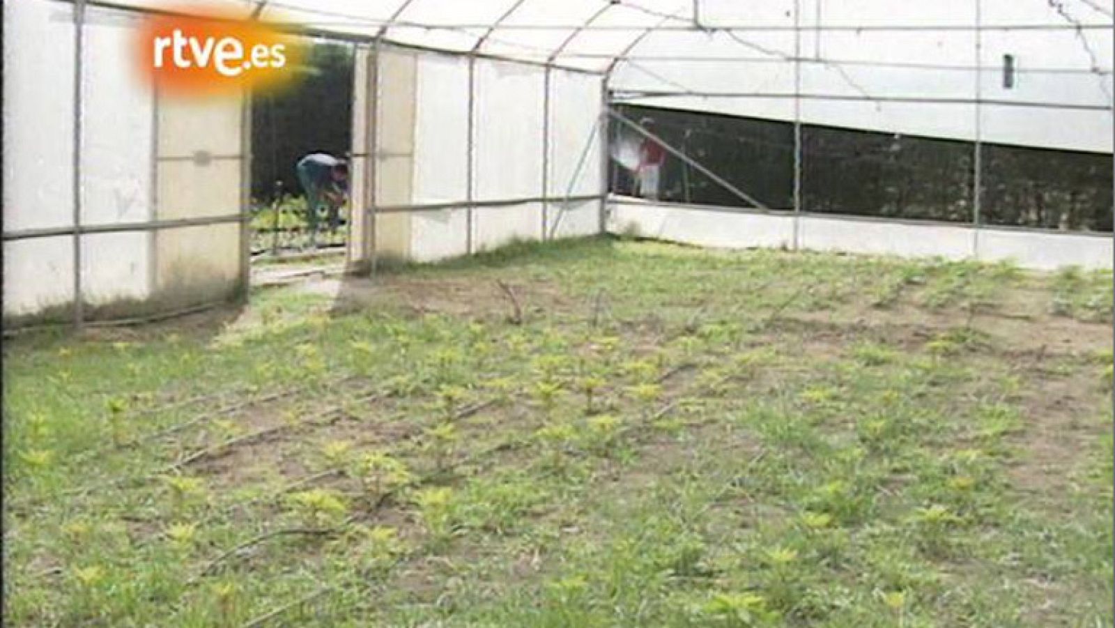 Pueblo de Dios - El principio del fin (1995)