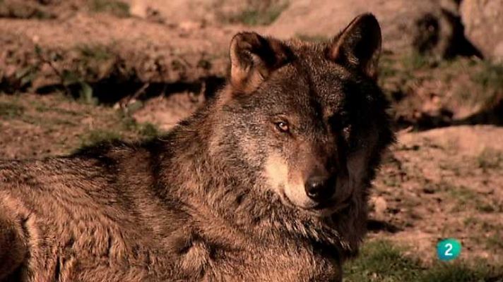 Biodiario - Biodiario - 24/10/12