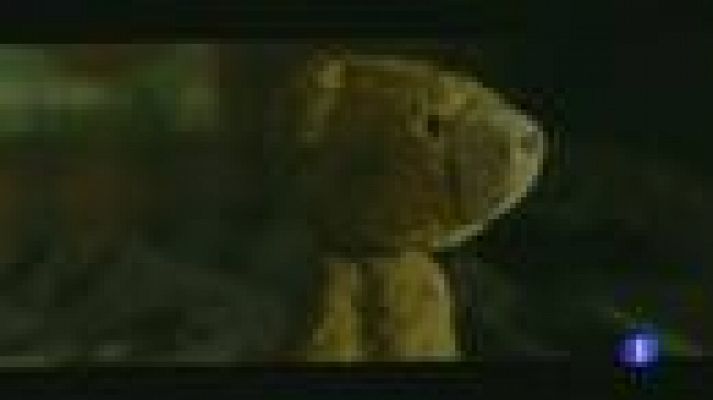 Telediario 1 - "Animals": primera película de Març