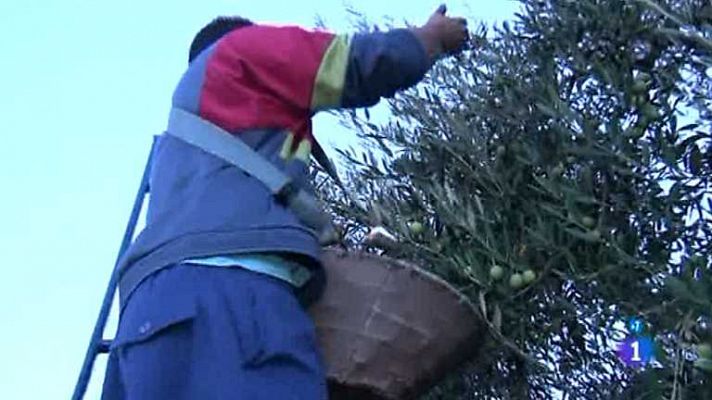Comando Actualidad - El pueblo me da de comer