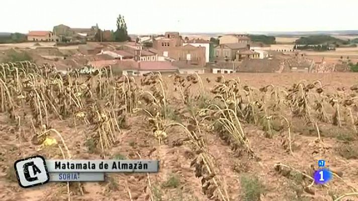 Comando Actualidad -  El pueblo me da de comer - De la ciudad al campo