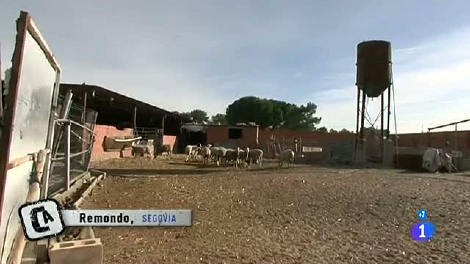 Comando Actualidad -  El pueblo me da de comer - El negocio de la resina - Comando Actualidad | Ver