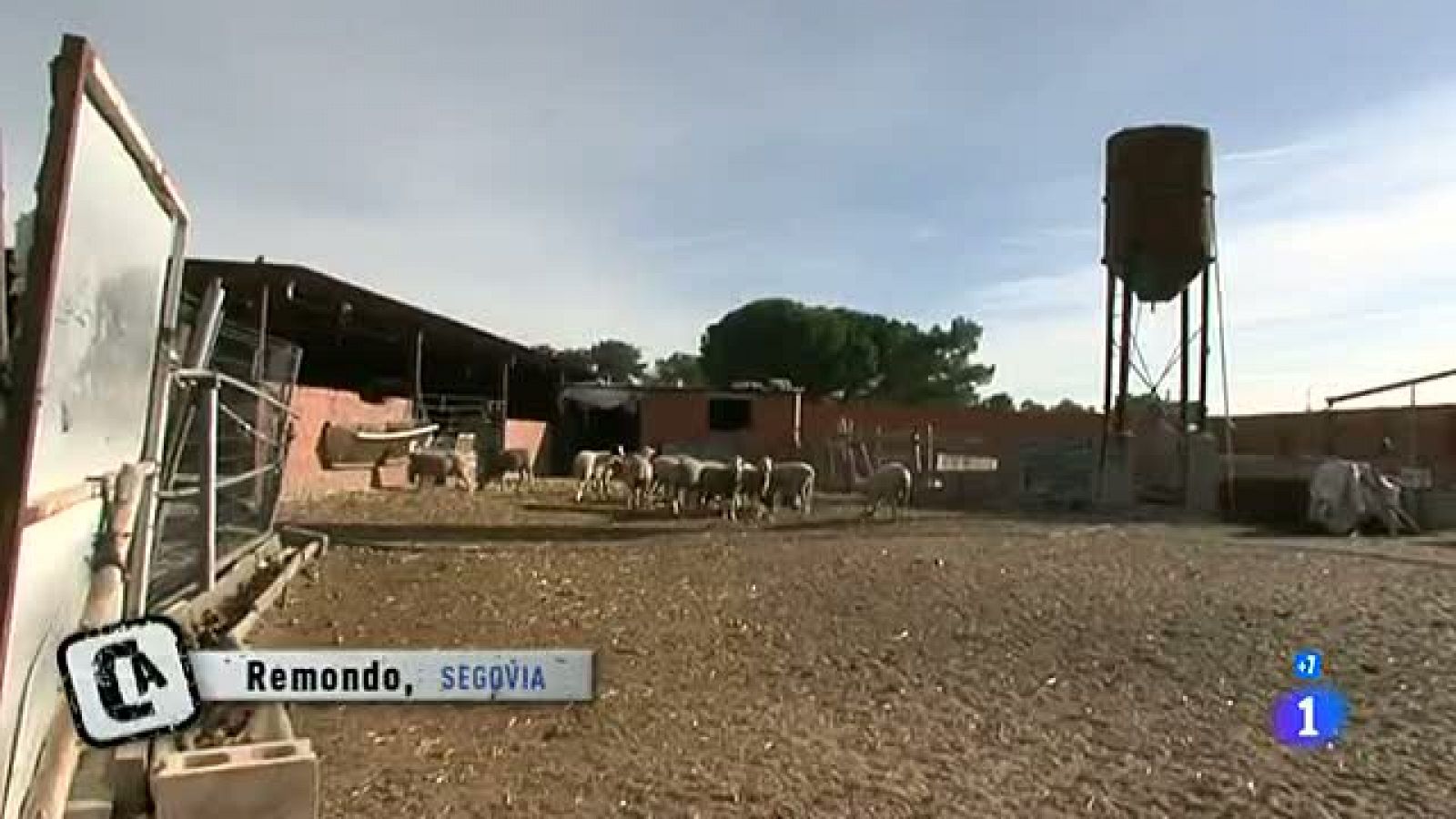 Comando Actualidad -  El pueblo me da de comer - El negocio de la resina