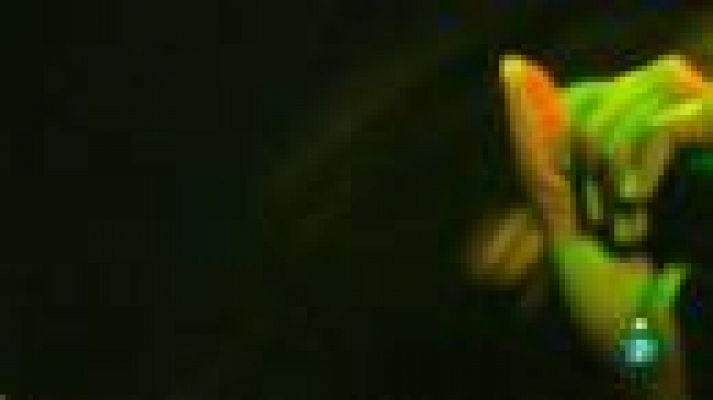 Días de cine - Días de cine - DVD: 'Marley'