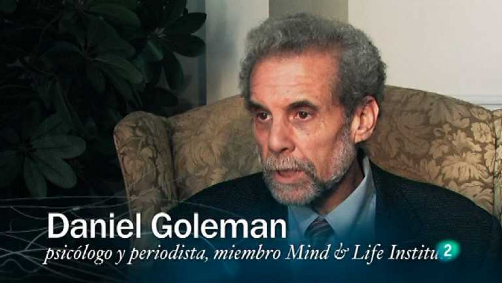 Redes - Aprender a gestionar las emociones (Versión original) - Ver ahora