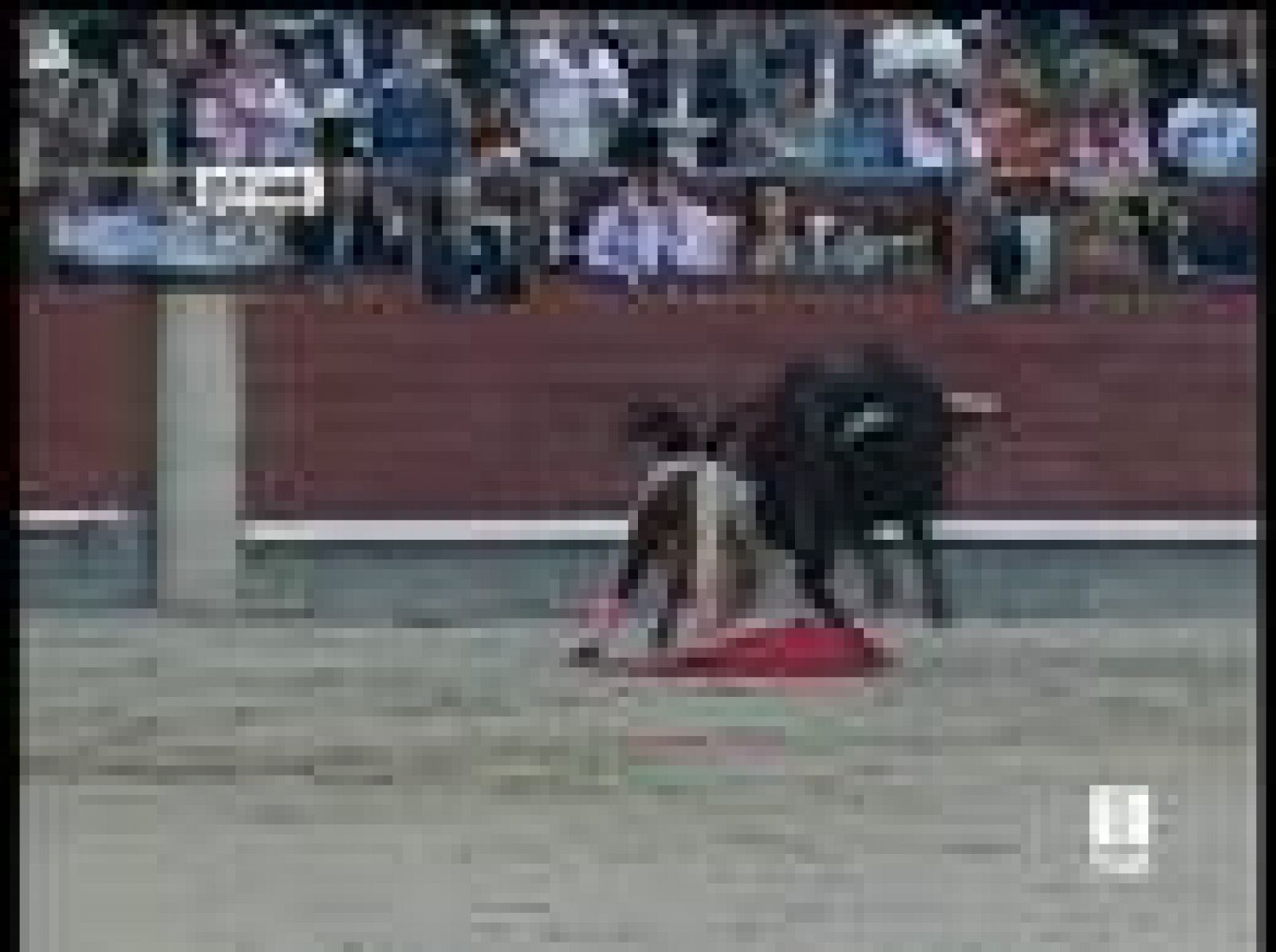 José Tomás sale de Las Ventas con 3 cornadas y 3 orejas