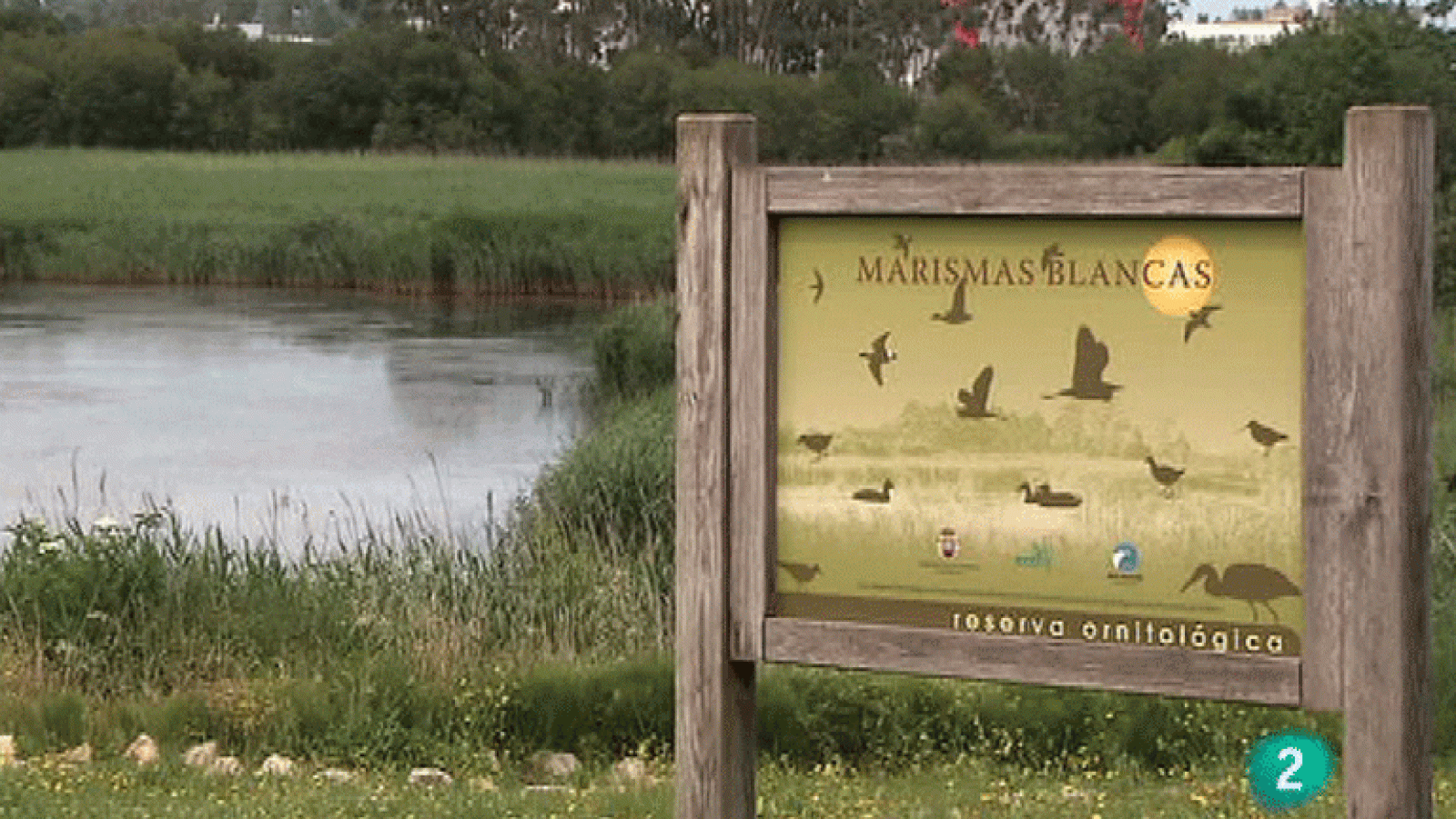 La Aventura del Saber. Marismas blancas