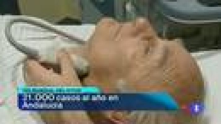 Noticias Andalucía - Noticias Andalucía - 29/10/12