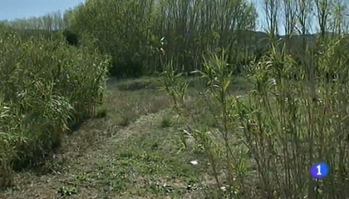 Noticias Aragón - Noticias Aragón - 29/10/12