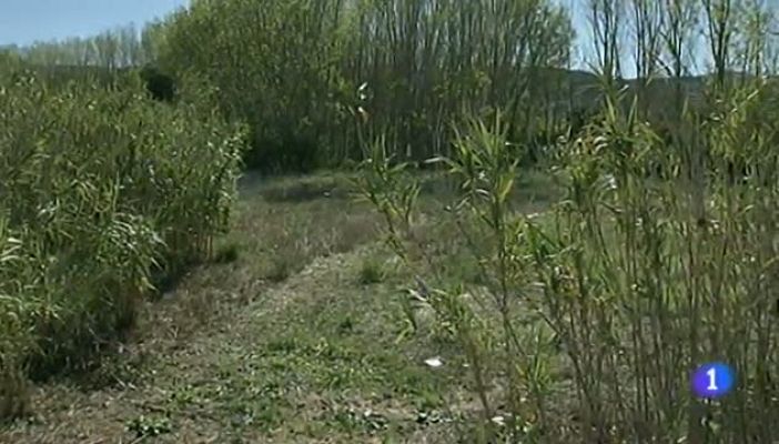 Noticias Aragón - Noticias Aragón - 29/10/12