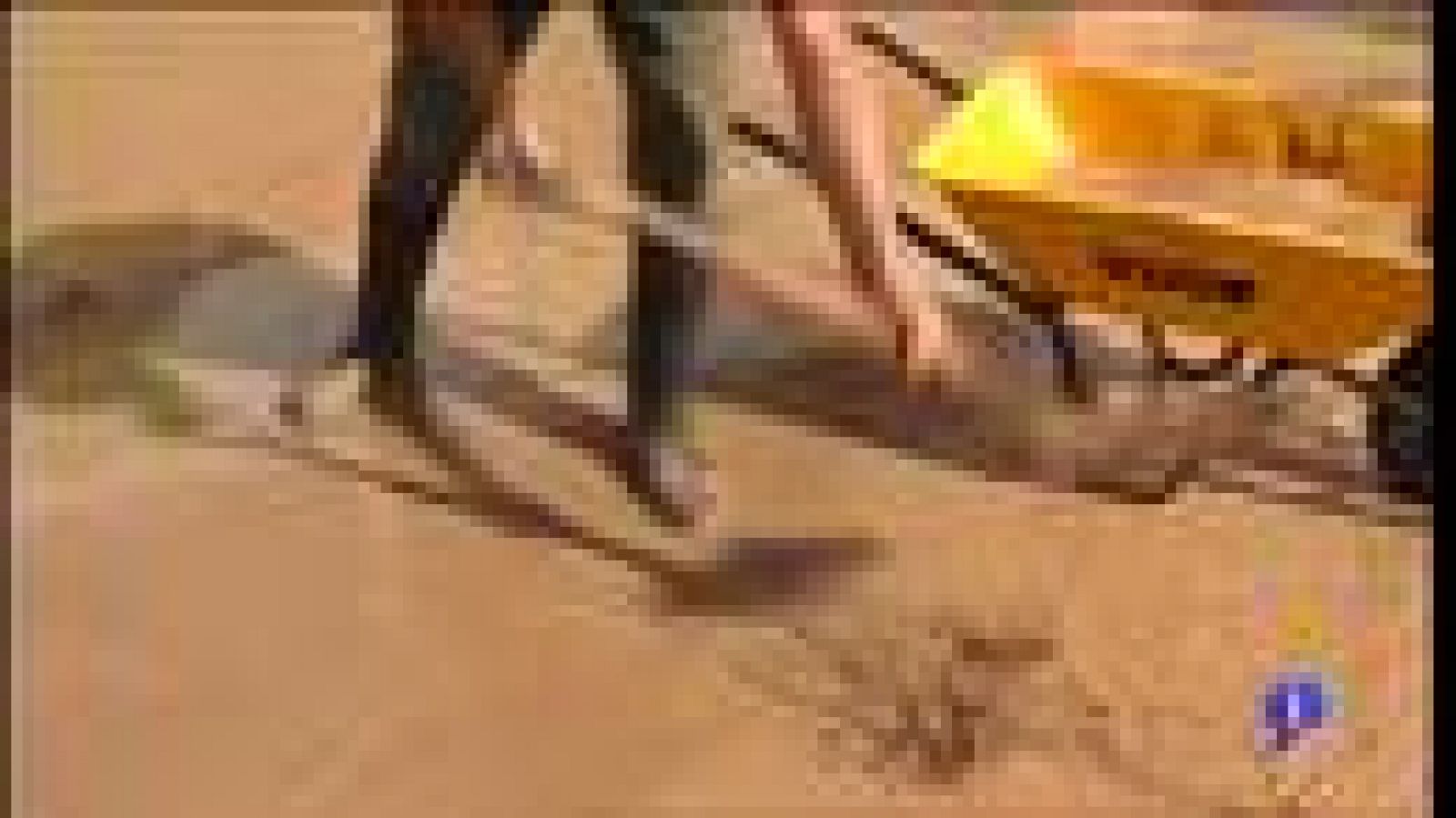 Telecanarias - 29/10/12 | Ver