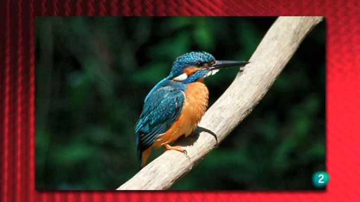 Saber y ganar - Saber y ganar - 30/10/12