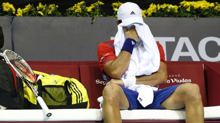 Fernando Verdasco se retira en París-Bercy