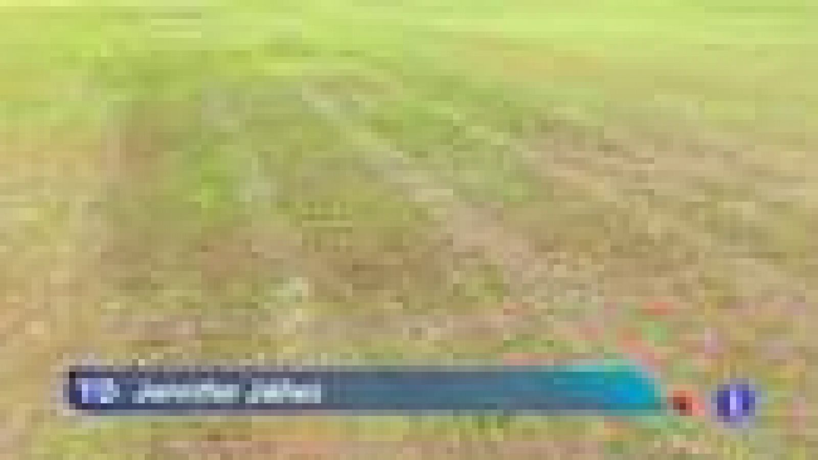 Este miércoles se juegan otros cuatro encuentros con presencia de equipos de 1ª, entre ellos un Cacereño-Málaga, que Pellegrini ha aprovechado para hacer rotaciones. De hecho solo se ha llevado a tres titulares habituales a Cáceres.