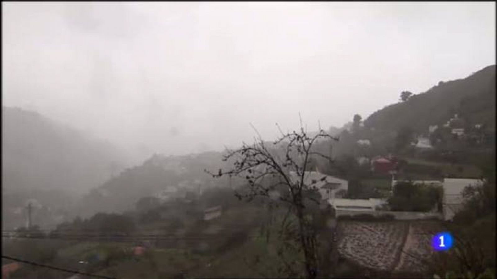 Canarias en 2' - 31/10/12 | Ver