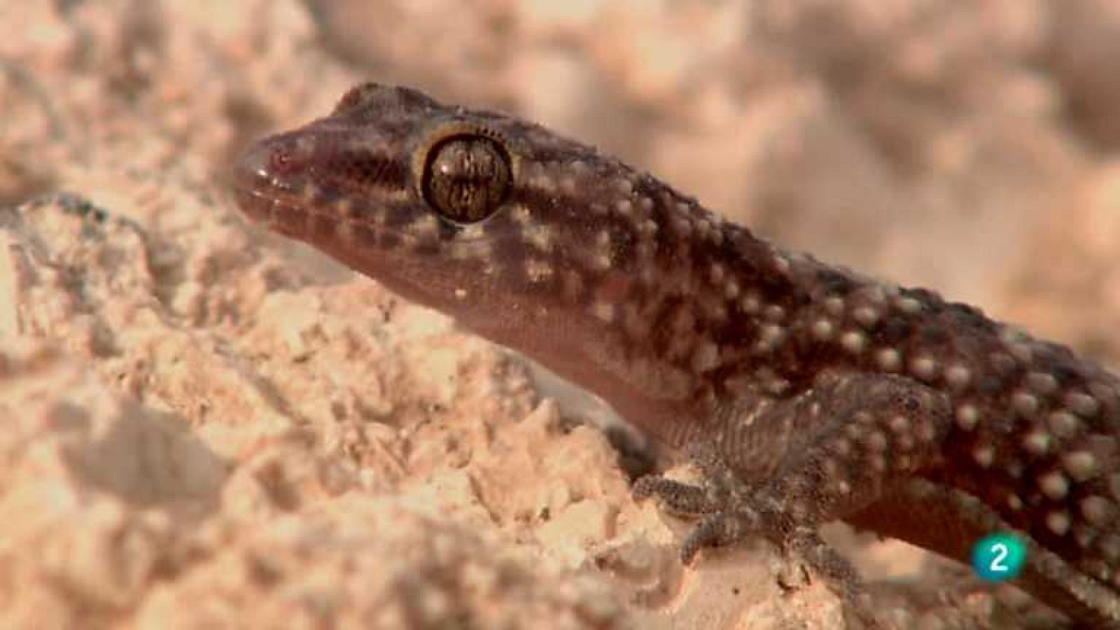 Biodiario - 01/11/12  - Ver ahora