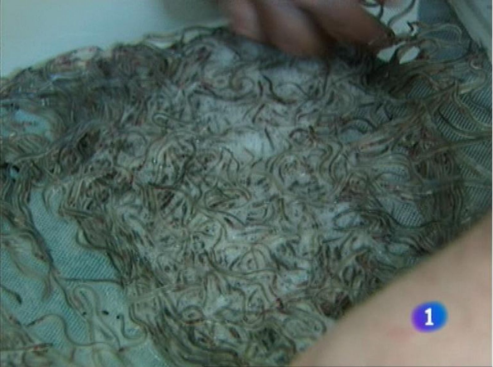 Panorama Regional 2 - 02/11/12 | Ver