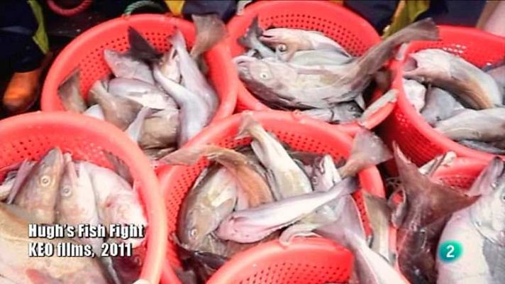 El escarabajo verde - Repartiendo peces