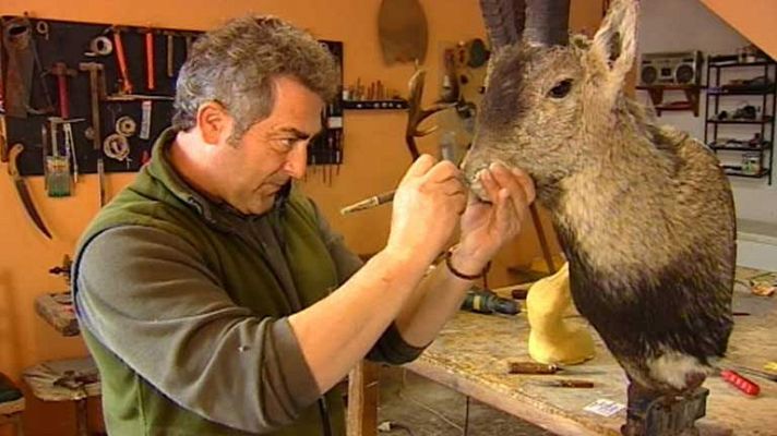 Telediario 1 - Actividad cinegética