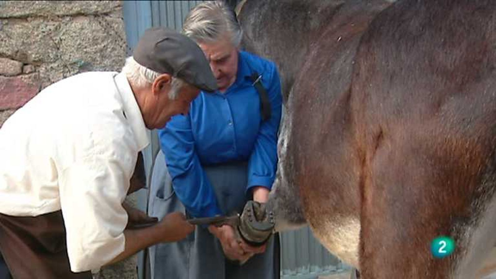 Agrosfera - 03/11/12 - Ver ahora