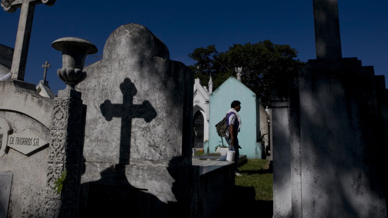 Informe Semanal: Noviembre de todos los muertos