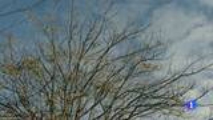 Informe Semanal - Noviembre de todos los muertos