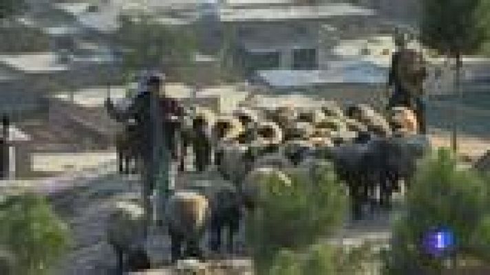 Informe Semanal - El tiempo de los afganos