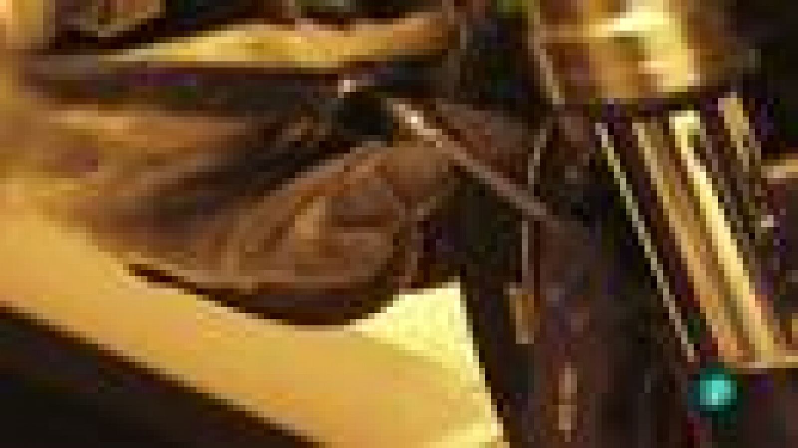 Fábrica de ideas-Invierte: Inmotec | Ver