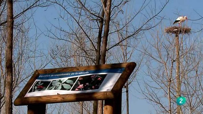 La aventura del Saber - La aventura del saber - 05/11/12