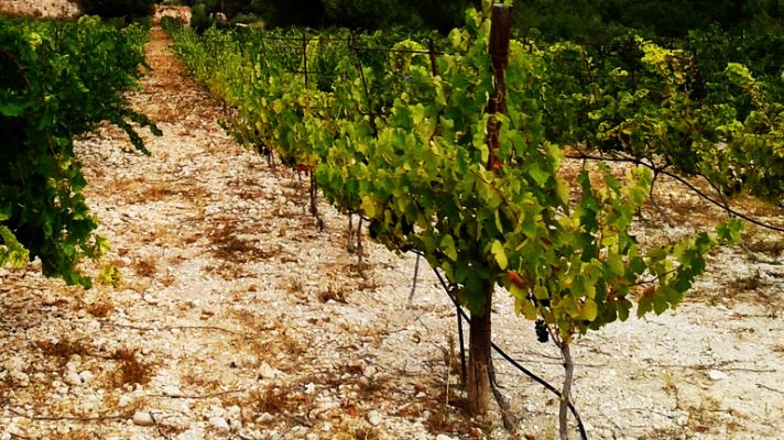 Crónicas - Utopías cercanas - Avance