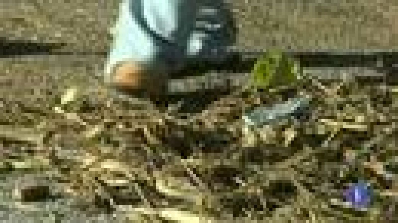 En Andalucía, varias carreteras siguen cortadas por las lluvias