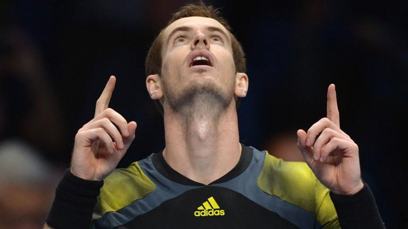 Murray comienza la Copa Masters ganando a Berdych - Tenis | Ver