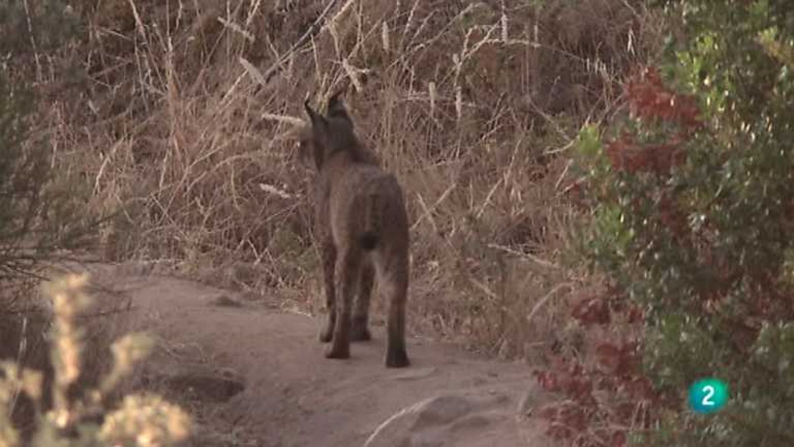 Biodiario - 05/11/12  - Ver ahora