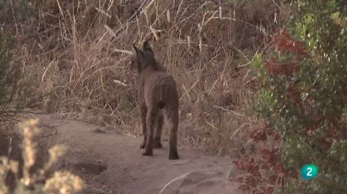 Biodiario - Biodiario - 05/11/12