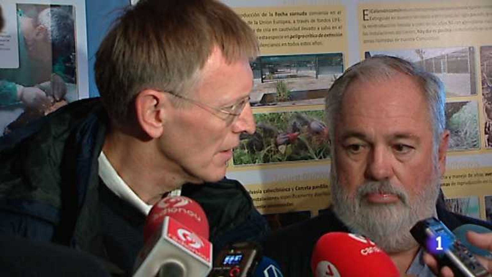 L'Informatiu - Comunitat Valenciana 2 - 06/11/12 - ver ahora