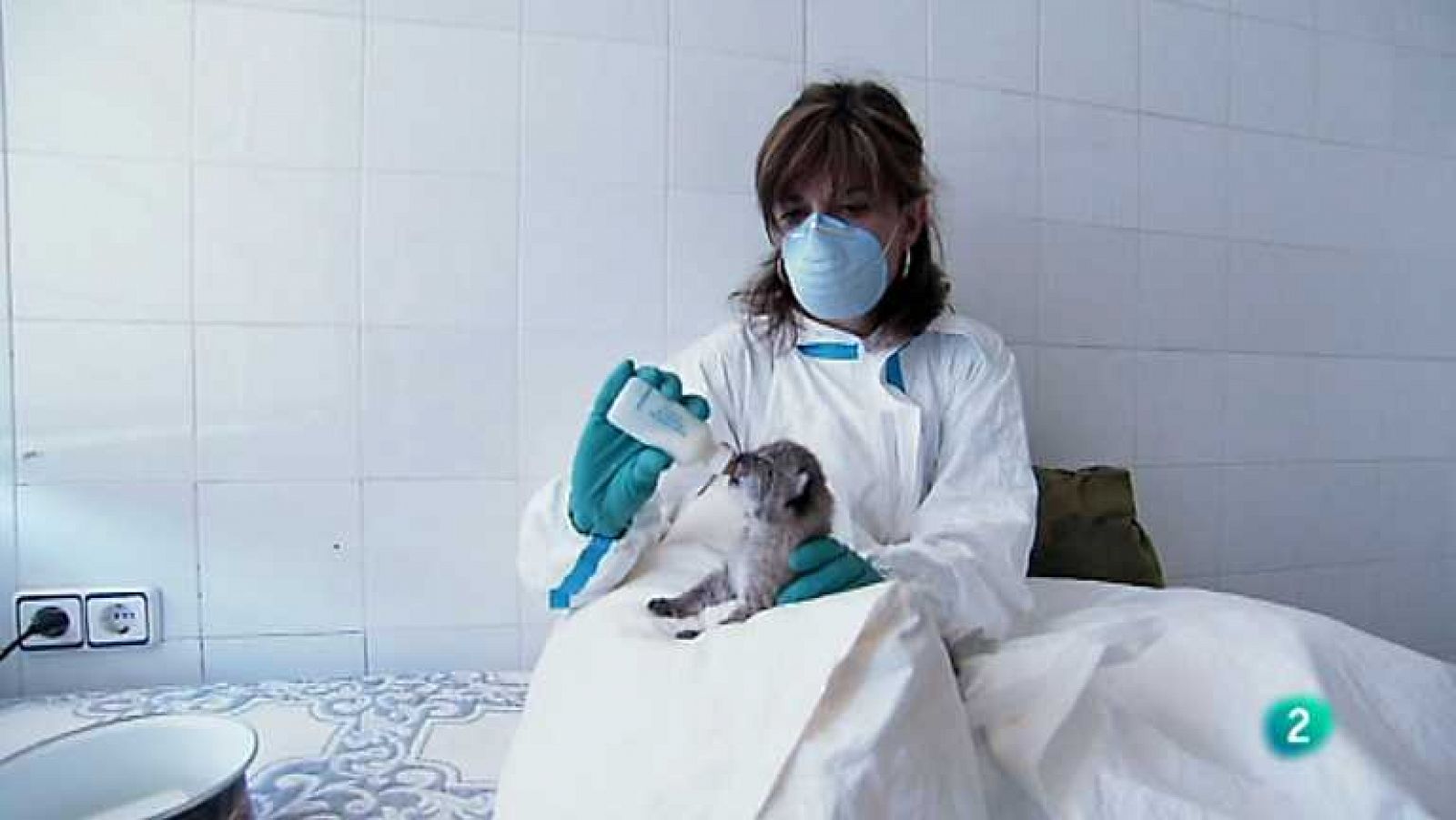 Biodiario - 06/11/12  - Ver ahora