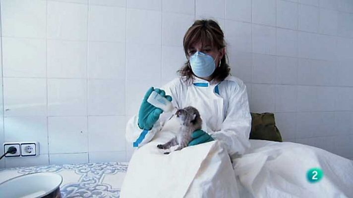 Biodiario - Biodiario - 06/11/12