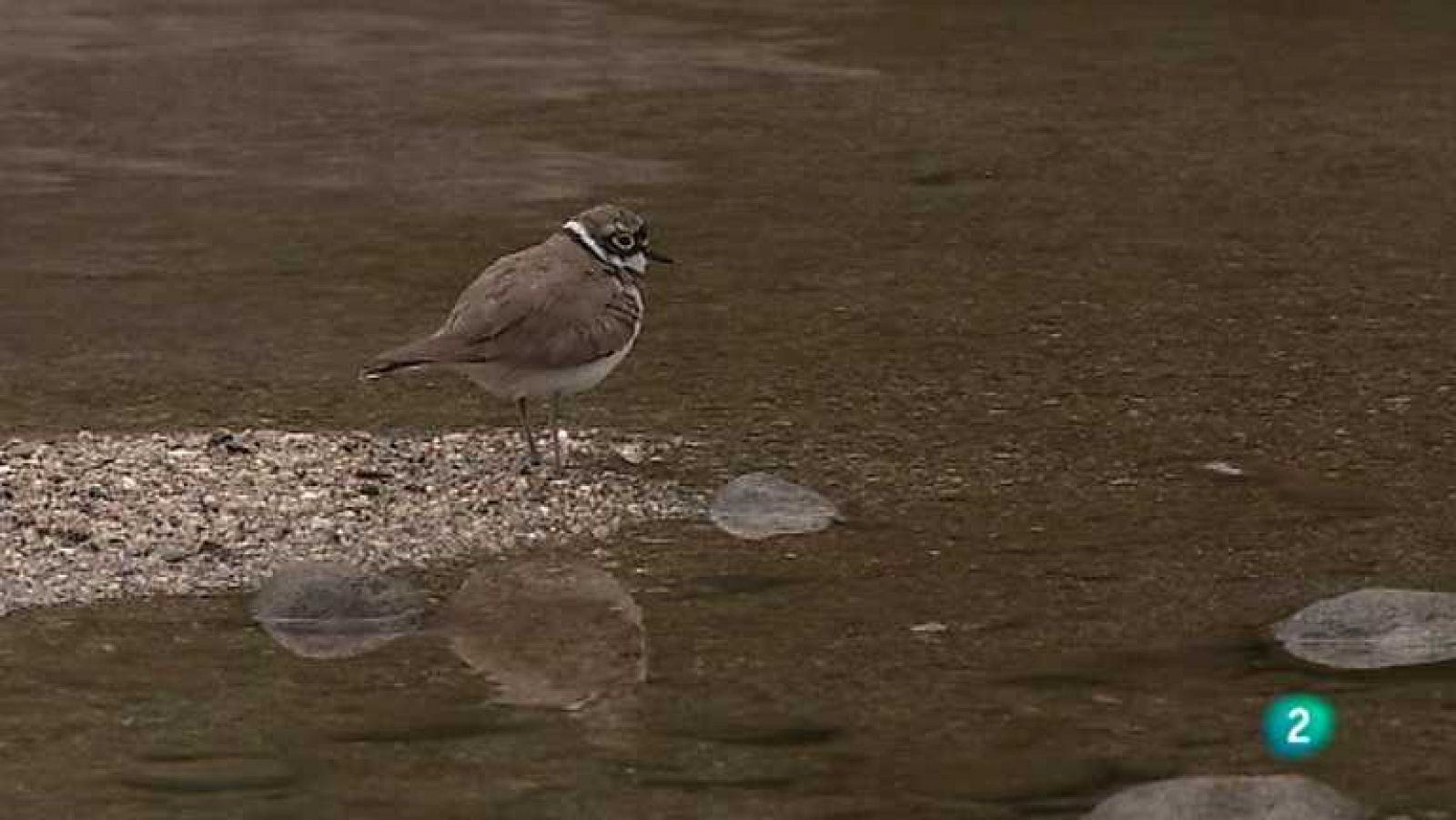 Biodiario - 07/11/12  - Ver ahora