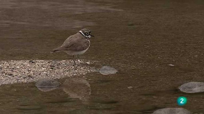 Biodiario - Biodiario - 07/11/12